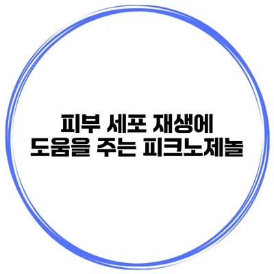 피부 세포 재생에 도움을 주는 피크노제놀