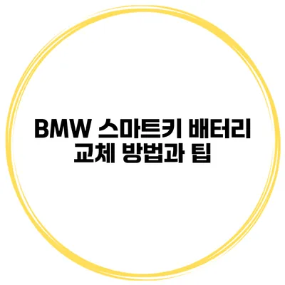 BMW 스마트키 배터리 교체 방법과 팁