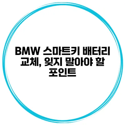 BMW 스마트키 배터리 교체, 잊지 말아야 할 포인트
