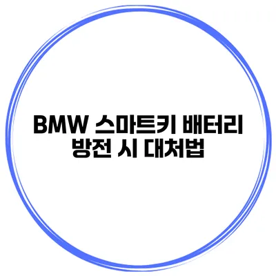 BMW 스마트키 배터리 방전 시 대처법