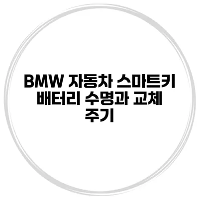 BMW 자동차 스마트키 배터리 수명과 교체 주기