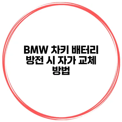 BMW 차키 배터리 방전 시 자가 교체 방법