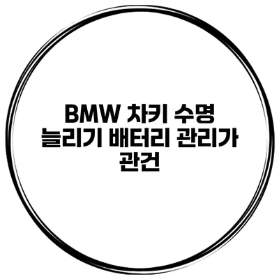 BMW 차키 수명 늘리기 배터리 관리가 관건
