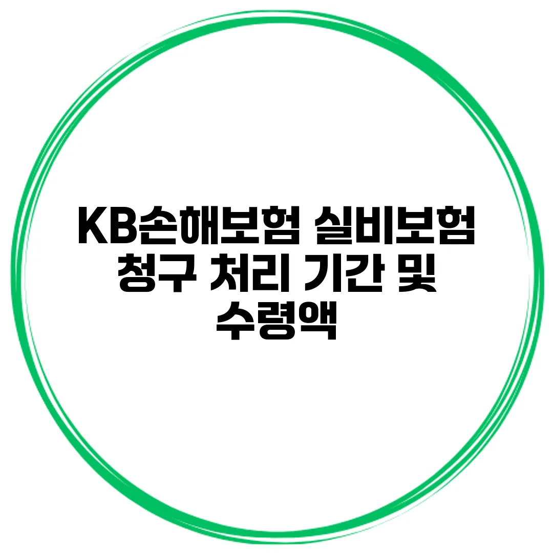 KB손해보험 실비보험 청구 처리 기간 및 수령액