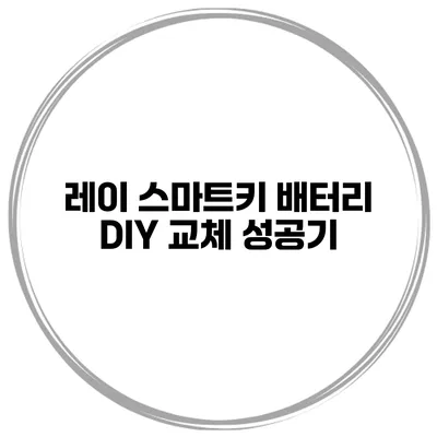 레이 스마트키 배터리 DIY 교체 성공기