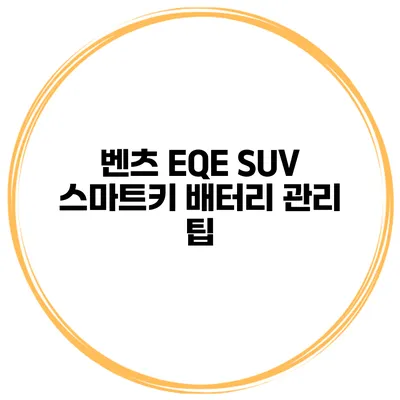 벤츠 EQE SUV 스마트키 배터리 관리 팁