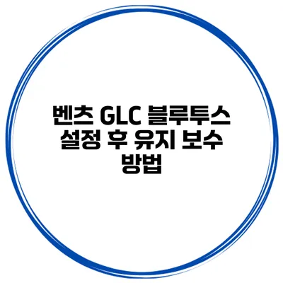 벤츠 GLC 블루투스 설정 후 유지 보수 방법