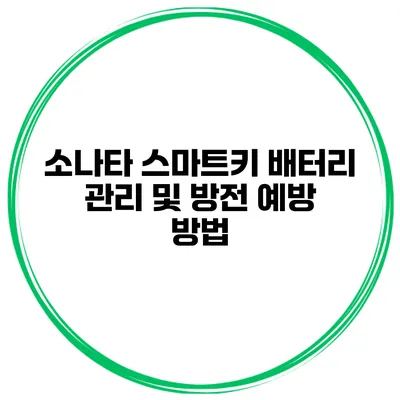 소나타 스마트키 배터리 관리 및 방전 예방 방법