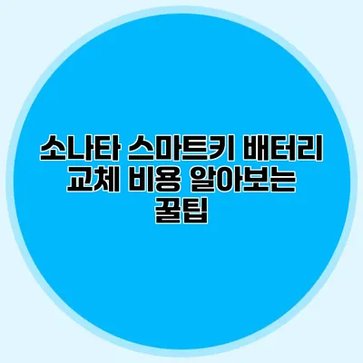 소나타 스마트키 배터리 교체 비용 알아보는 꿀팁