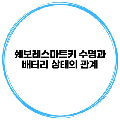 쉐보레스마트키 수명과 배터리 상태의 관계