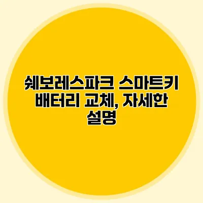 쉐보레스파크 스마트키 배터리 교체, 자세한 설명