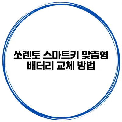 쏘렌토 스마트키 맞춤형 배터리 교체 방법