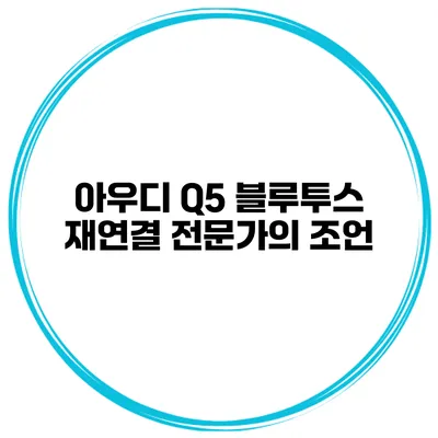 아우디 Q5 블루투스 재연결 전문가의 조언