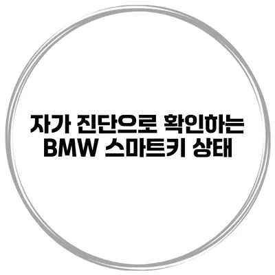 자가 진단으로 확인하는 BMW 스마트키 상태