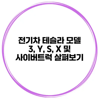 전기차 테슬라 모델 3, Y, S, X 및 사이버트럭 살펴보기