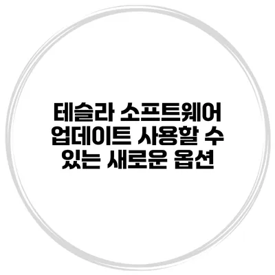 테슬라 소프트웨어 업데이트 사용할 수 있는 새로운 옵션