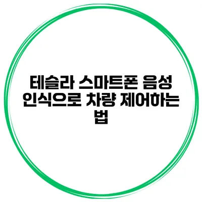 테슬라 스마트폰 음성 인식으로 차량 제어하는 법